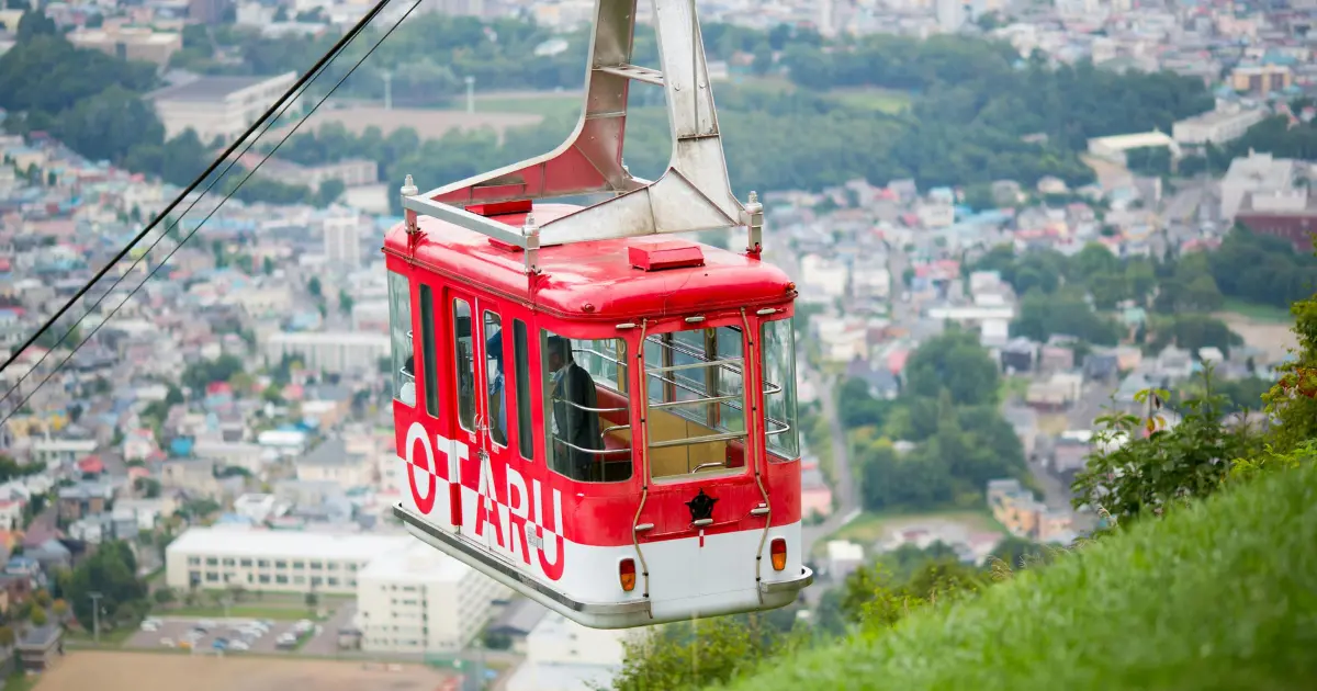 Poudreuse sur les bouleaux de Niseko